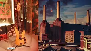 Pigs (Three Different Ones) Isolated Bass [BETTER QUALITY] - Pink Floyd