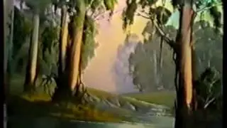 Paint Bluegum trees - André Grobler