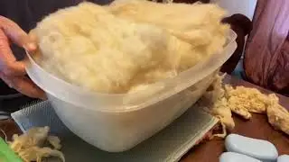 How to process sheep’s wool! #wetfelting #needlefelting