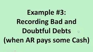 Example #3 Recording Bad and Doubtful Debts (when AR pays some Cash)