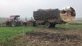 😱 Swaraj 855 vs Mahindra 475 ganna ki trolly nikale || UP Tractors blogs official