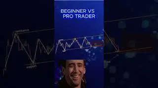 Beginner VS Pro Trader #trading #stocktrading