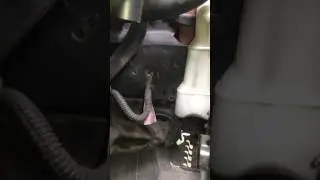 Honda City Front Engine Support Noise