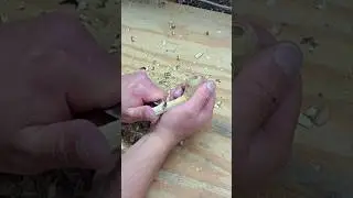 One-Piece Wood Pipe #whittling #pipes #carving
