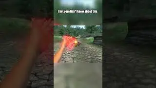 I bet you didn't know about this😨 #gaming #games #elderscrolls #shorts #oblivion #gameplay #memes