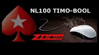 ZOOM NL 100