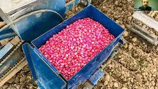Neonics: The Toxic Truth