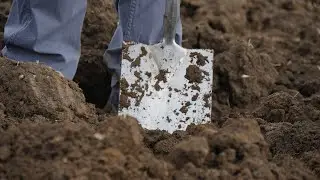 GREATsoils - Soil Health for Horticulture (2018)