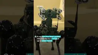 T&uuml;rkiye unveils Koz, world's first rocket-launcher robotic dog