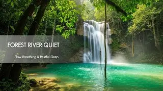 Gentle Forest Ambience with Tranquil River Flow for Sleep Study Meditation and Inner Peace