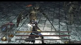 Ng+2  Ruin sentinels Dark souls 2