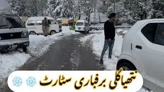 Nathia Gali Live Snow Fall / live Baraf Bari In Pakistan