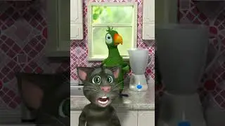 Tom annoys pierr