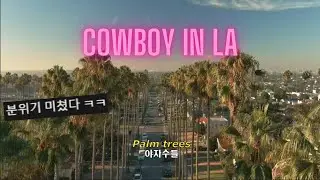 야자수 아래에서 너와 사랑할 거야, LANY - cowboy in LA[가사/해석/lyrics]