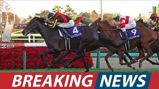 Chad Brown's Kentucky Derby Army REVEALED  Paladin, Ottinho & More। USA NEWS TODAY