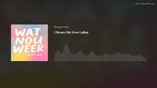 3 Broers Die Even Lullen