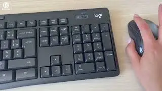 Test client : ensemble clavier souris sans fil silencieux MK295 Logitech - Bruneau
