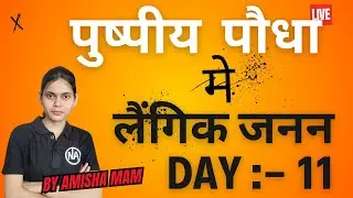 भ्रूण निर्माण (Embryo Formation) | Dicots में भ्रूणजनन (Embryogeny) | Class 12th Biology Ch-2 |bseb