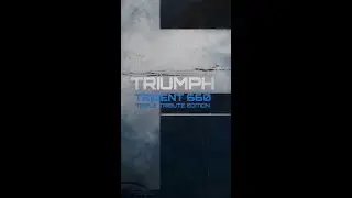 Triumph Trident 660 Triple Tribute Edition 👌