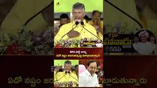 BRS పార్టీ వాళ్ళు ఏదో నష్టం జరుగుతున్నట్టు మాట్లాడుతున్నారు | #TDPMahanadu2025 | #YTShorts