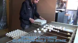 Nuovo Egg Stamper - Manual stamping on Grader