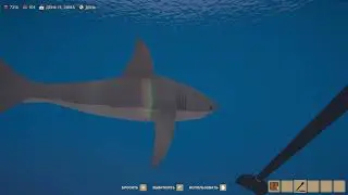 how to find shark in Old Market Simulator