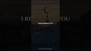 Never Give Up in Seeking Allah&rsquo;s Pleasure! #islam #muslim #shorts #motivation