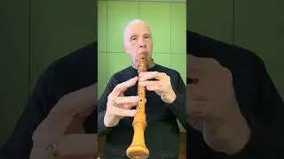 Saraband-Suite in F Major, Daniel Demoivre (Alto Recorder)#altorecorder #recorder #blockfl&ouml;te