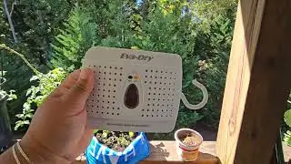 DEHUMIDIFIER| MINI | UNDER $20 | Izzy's Review| Amazon Find | REUSABLE | HONEST REVIEW