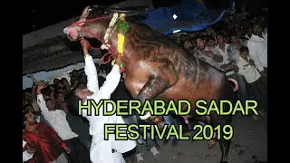 Sadar Festival | Sadar Festival Celebrations in Hyderabad