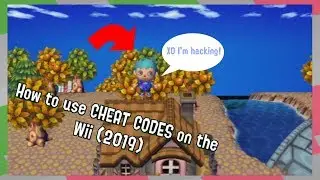 How to use cheat codes for the Wii using Ocarina and USB Loader GX