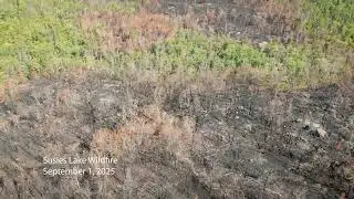 Susies Lake Wildfire from August 2025
