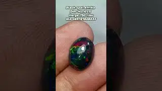 Batu black opal Afrika full jarong #blackopal #kalimaya #opal #batupermata #cincin