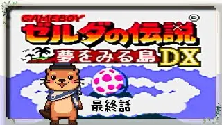 【姫プ系配信者】#8 ゼルダの伝説 夢を見る島DX【アドバイス求む！】