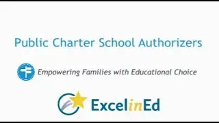 What is a public charter school authorizer?