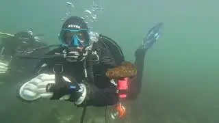 Fun Dive at Whytecliff Park in Vancouver BC