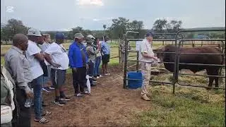 Limpopo&rsquo;s inaugural agricultural show paves the way for great things