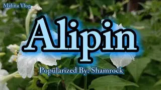 Alipin 