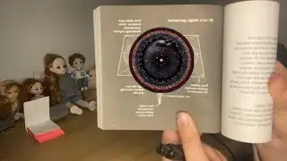 Yakın Fısıltı ile Kitap Okuma|Kuantum Fiziği ve Fizik 📚