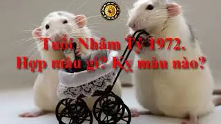 Tuổi Nhâm Tý 1972. Hợp màu gì? Kỵ màu nào?