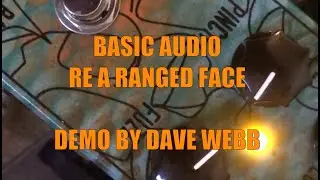 Basic Audio Re A Ranged Face Fuzz: Vital Transformation