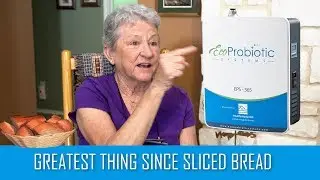 Probiotic Home System: Do Probiotics Work?