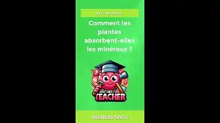 Nutrition des Plantes !