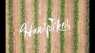 Handpicked Festival 2017