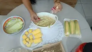 Brinquedos para calopsitas simples e barato.