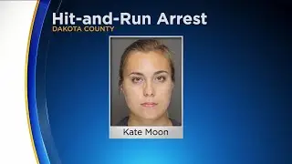 Woman, 21, Arrested In Apple Valley Hit-And-Run