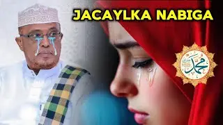 JACAYLKA NABIGA SCW 🥲 || SHEEKH DIRIR #SHEEKHDIRIR #SHEEKH 