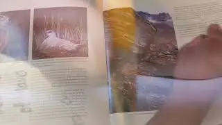 The Peregrination of Vadzaih's Refuge 2020-2021