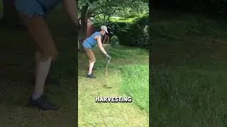 🌾The Silent Power of the Ancient Scythe