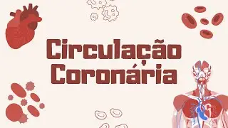 Infarto: Entenda como as artérias coronárias avisam o perigo 🫀